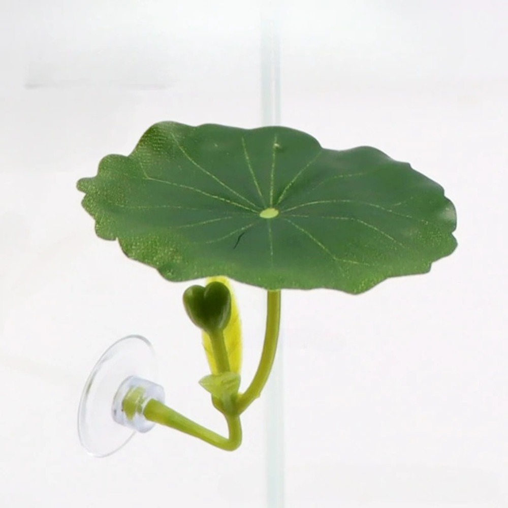 Aquarium Planted Tree - Lotus leaf Betta Fish Hammock rest