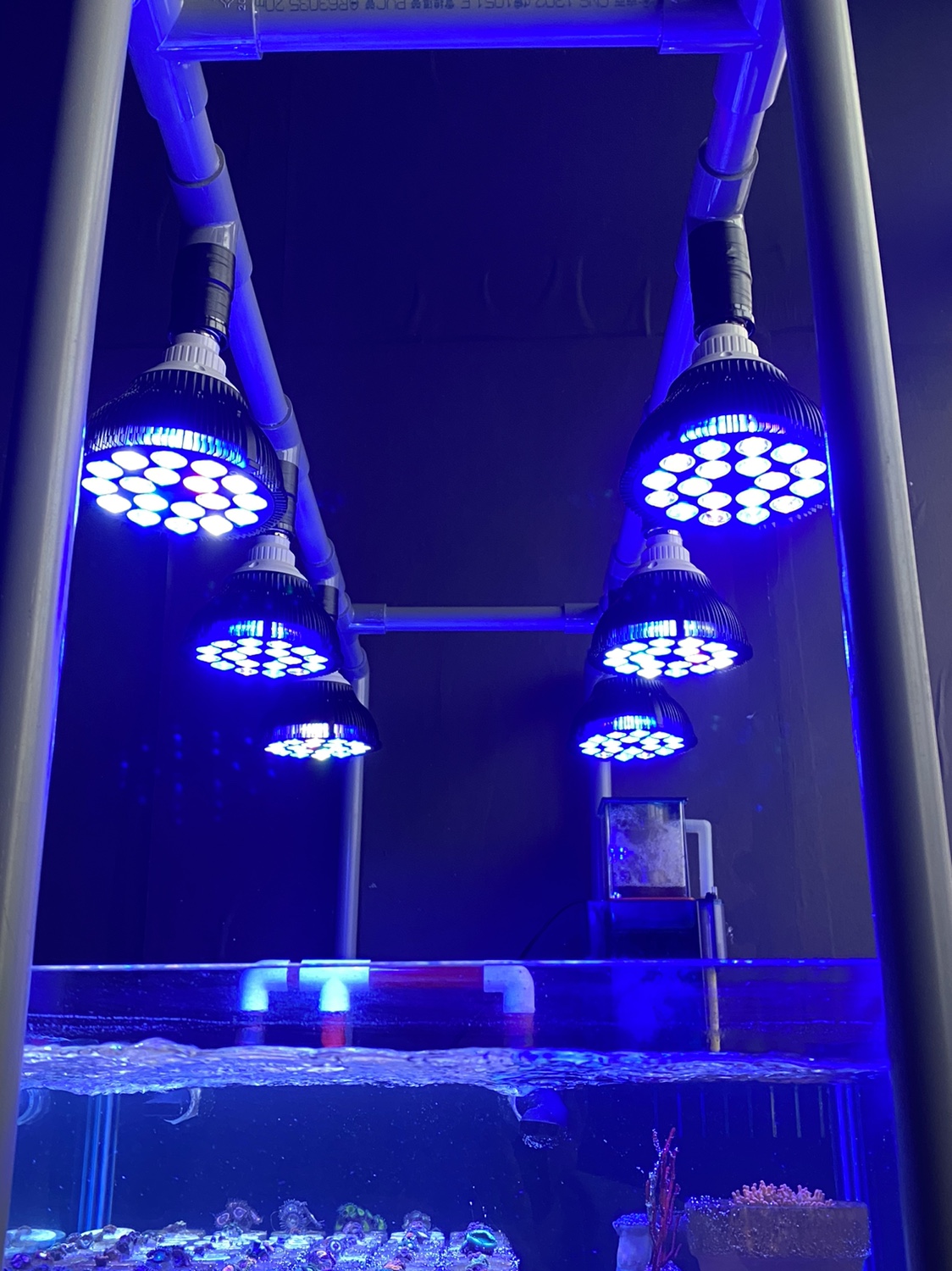 Planted Aquarium Pendant Light - Full specturm LED Aquarium Reef Light