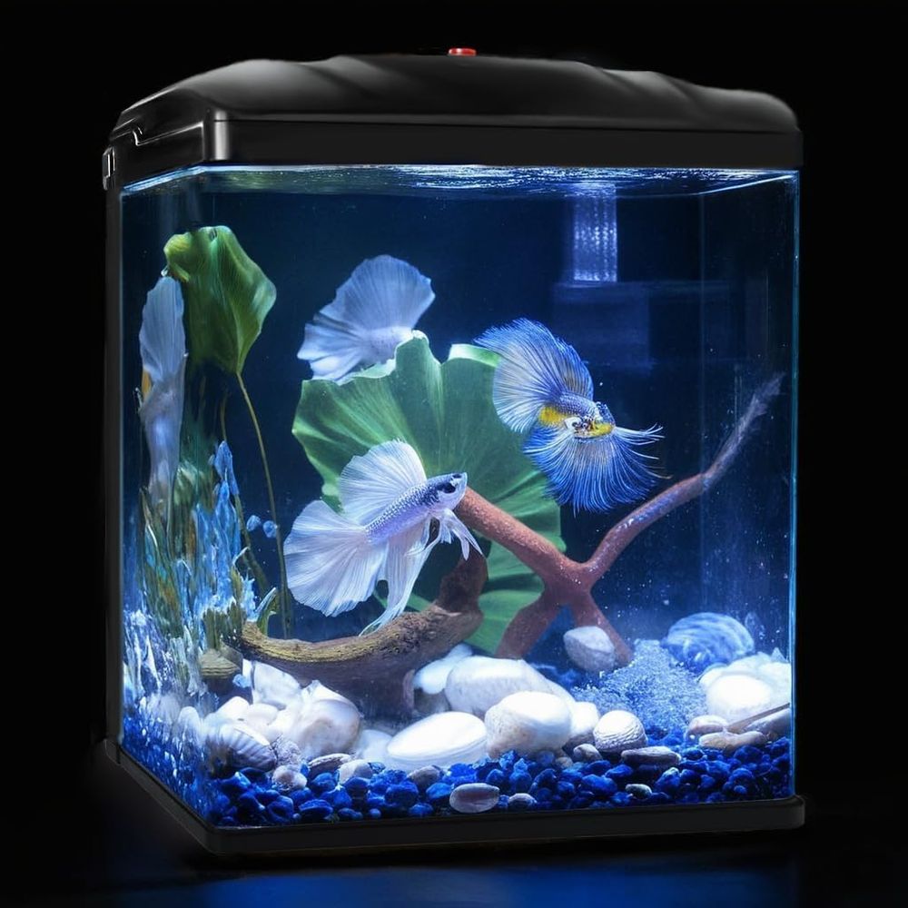 Planted Aquarium Cleaning Kit - Small ish Tank, 2 Gallon Glass
