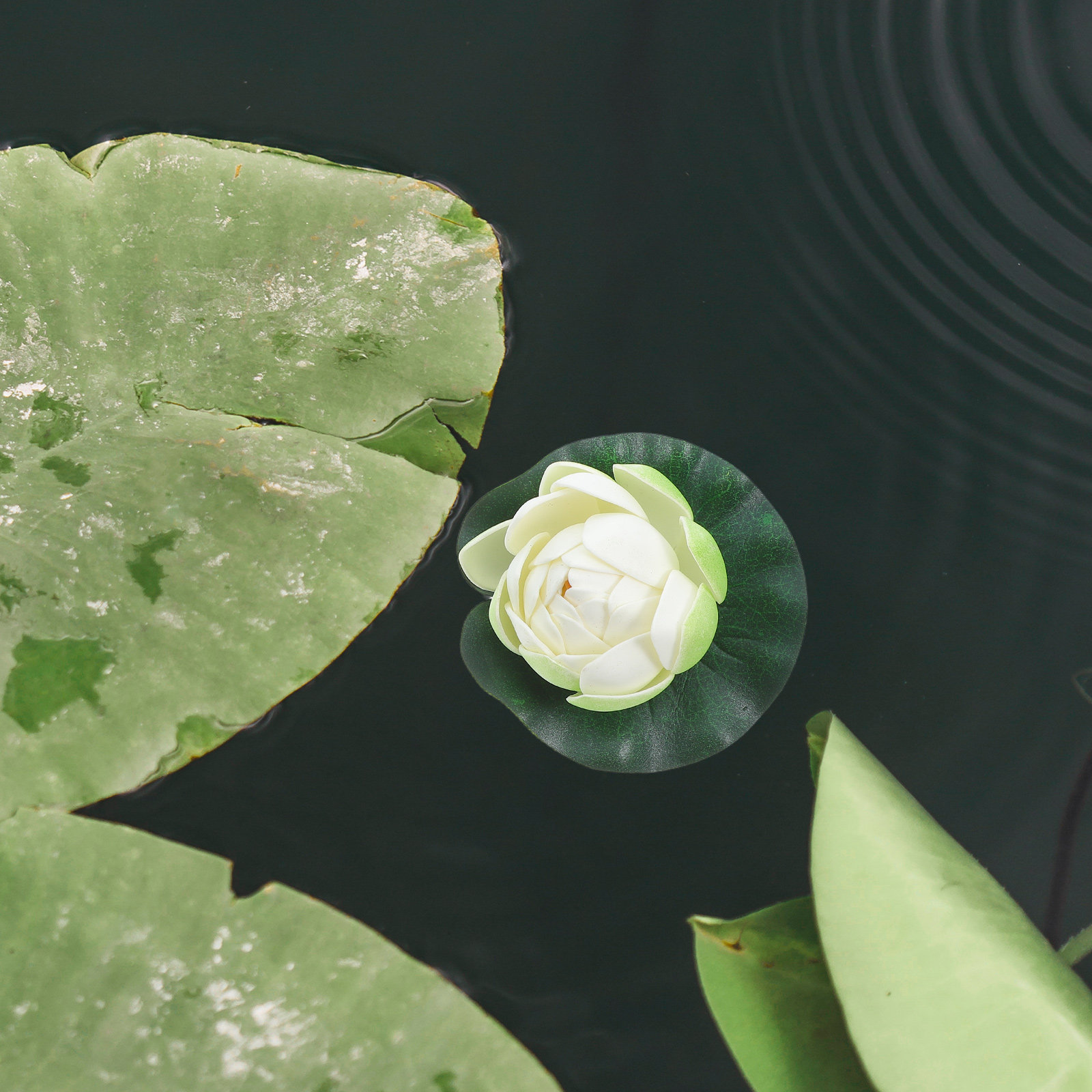 Aquarium For Planted Tank - 5Pcs Artificial Floating Water Lily Simulation