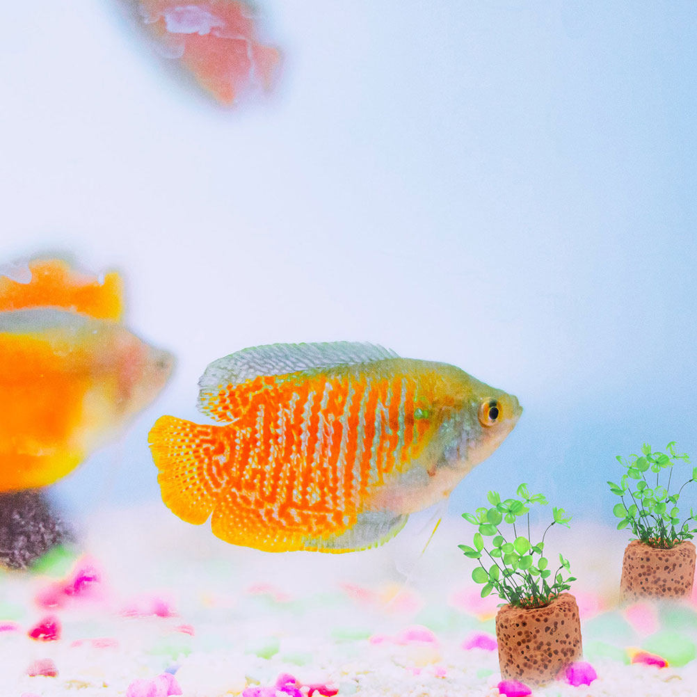 Planted Aquarium Water Temperature - 25Pcs Aquatic Plant Fixed Rings High