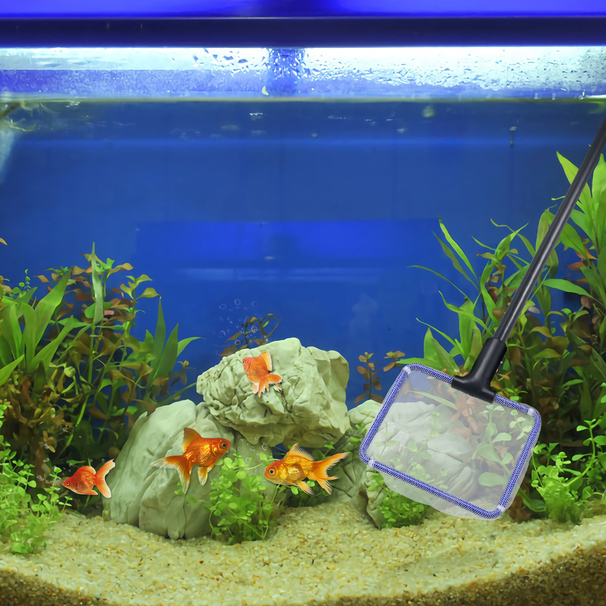 Planted Aquarium Cleaning Kit - Aquarium Fish Tank Cleaning Kit 5