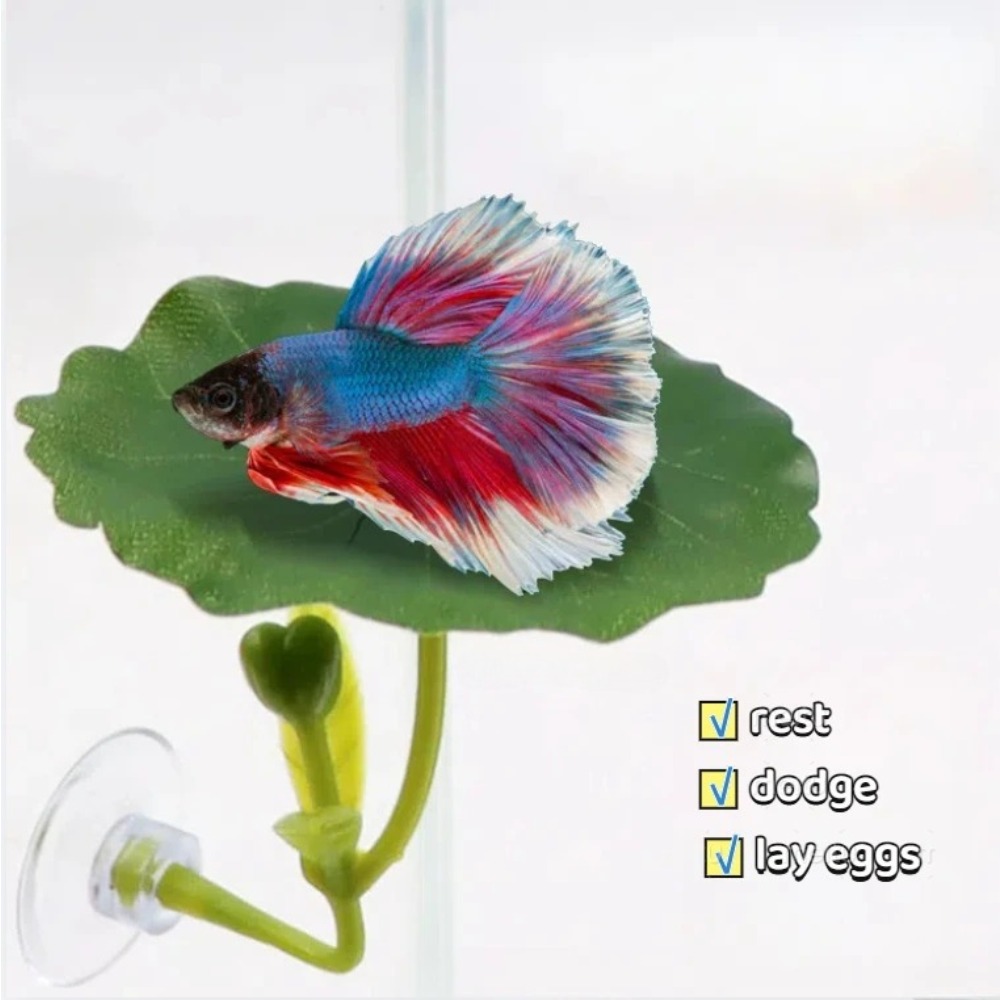 Lotus leaf Betta Fish Hammock  - Aquarium Planted Tree 评论和价格