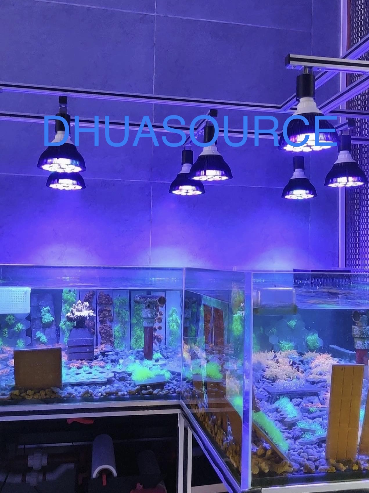 Full specturm LED Aquarium Ree - Planted Aquarium Pendant Light 评论和价格