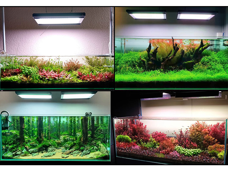 WEEK AQUA A430Pro LED Aquarium - Planted Aquarium Pendant Light 评论和价格