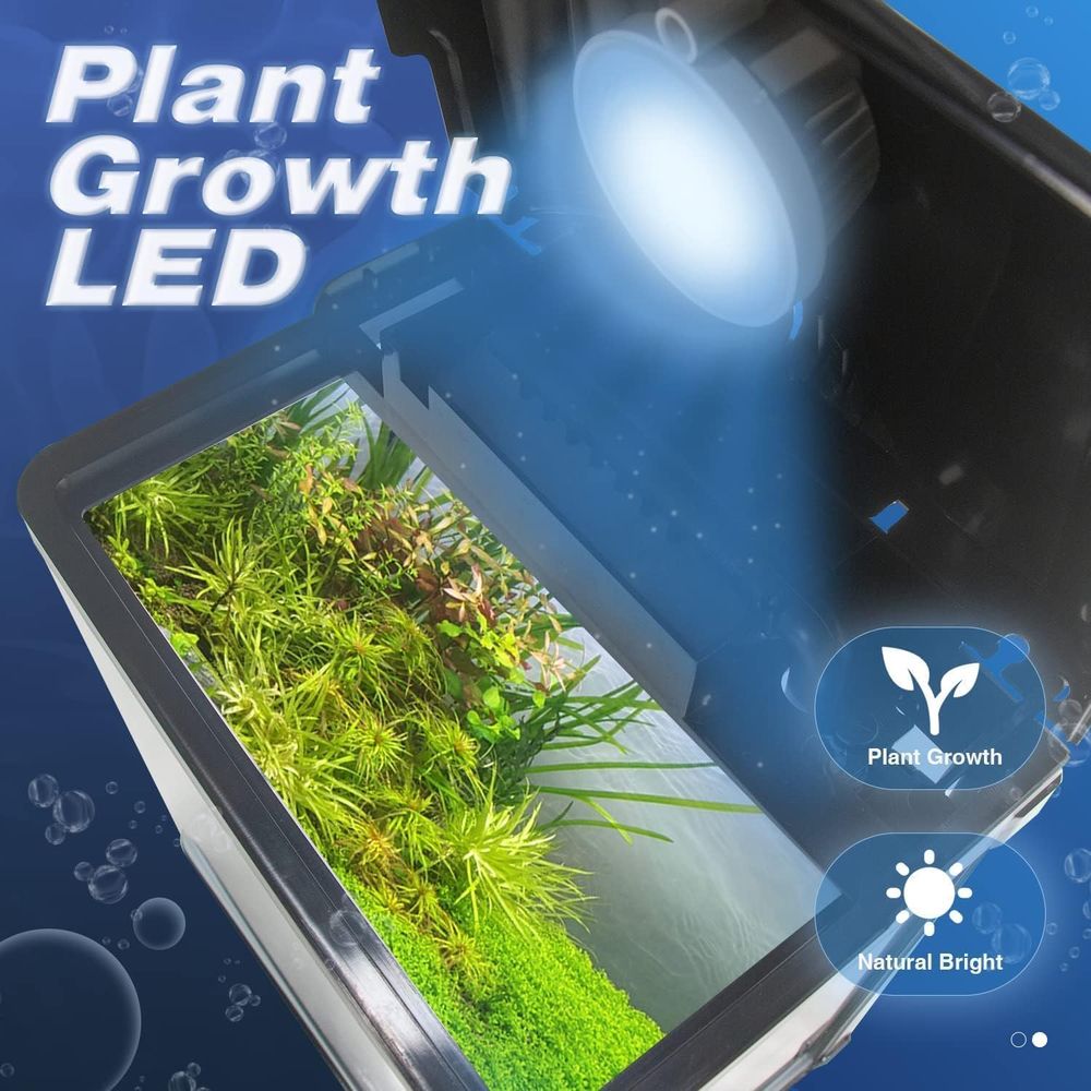 Small ish Tank, 2 Gallon Glass - Planted Aquarium Cleaning Kit 评论和价格