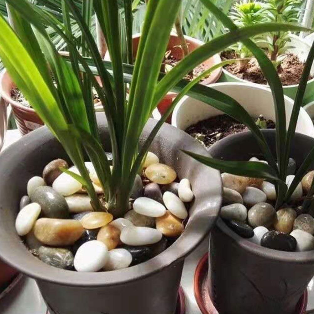 3pcs 3 Packs Natural Landscapi - Aquarium For Planted Tank 评论和价格