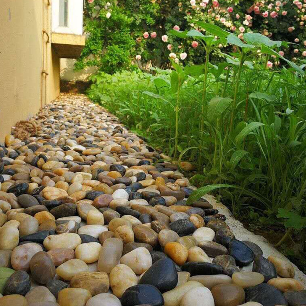 3pcs 3 Packs Natural Landscapi - Aquarium For Planted Tank 评论和价格