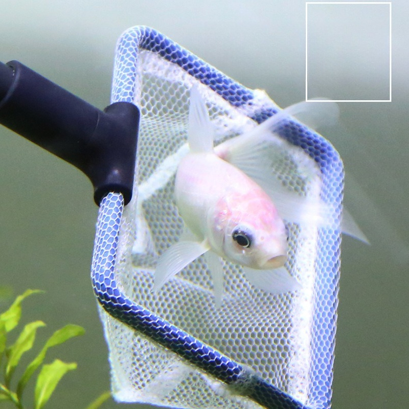 Aquarium Cleaning Tool Set Mul - Planted Aquarium Cleaning Kit 评论和价格