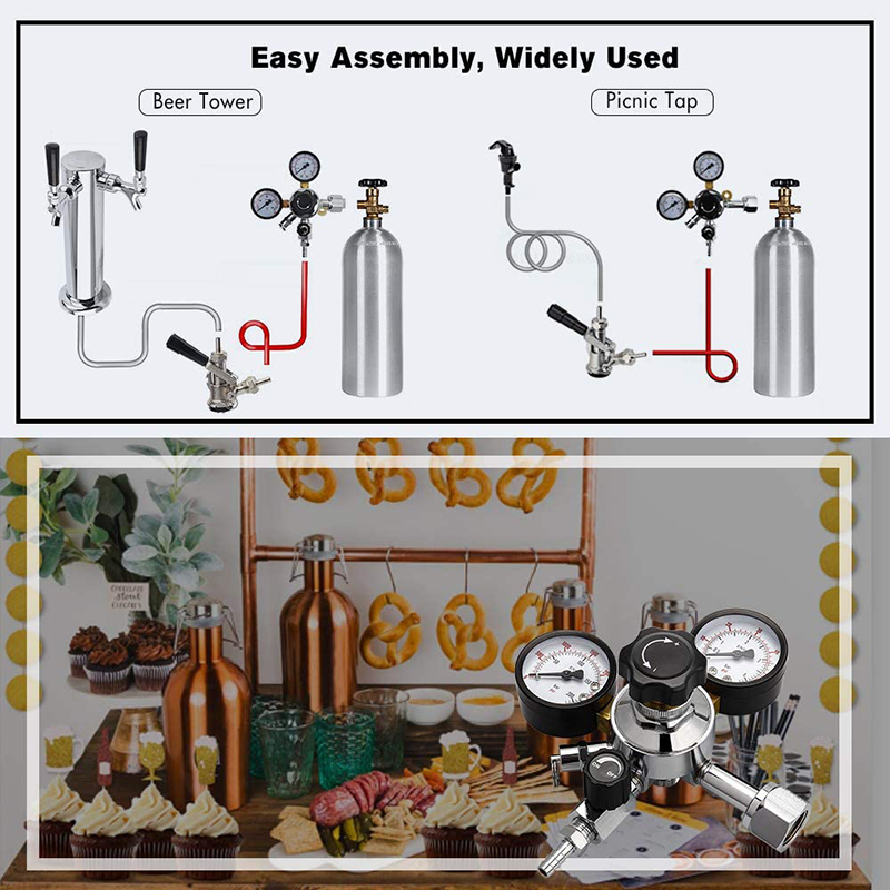 Homebrew Beer Gas Line Assembl - Co2 Regulator Dual Stage 评论和价格