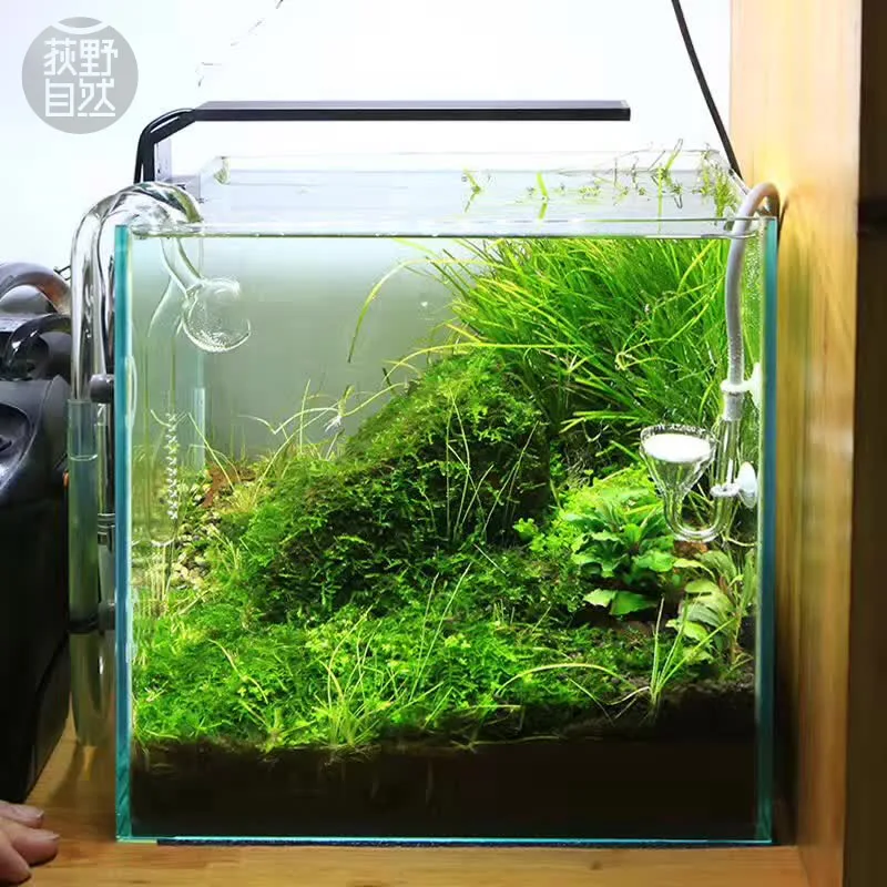 Chihiros C Series ADA Style Pl - Planted Aquarium Pendant Light 评论和价格