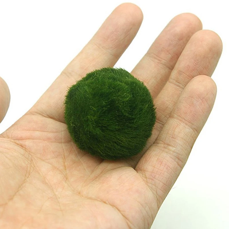 Hydroponic Aquatic balls Decor - Aquarium Plant Easy To Grow 评论和价格