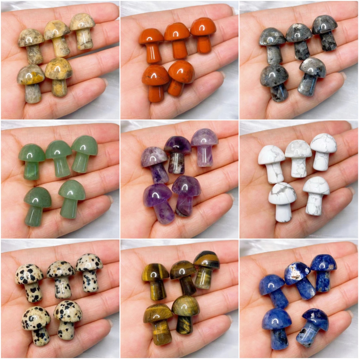 Natural Crystal Mini Mushroom  - Aquarium Planting Ideas 评论和价格