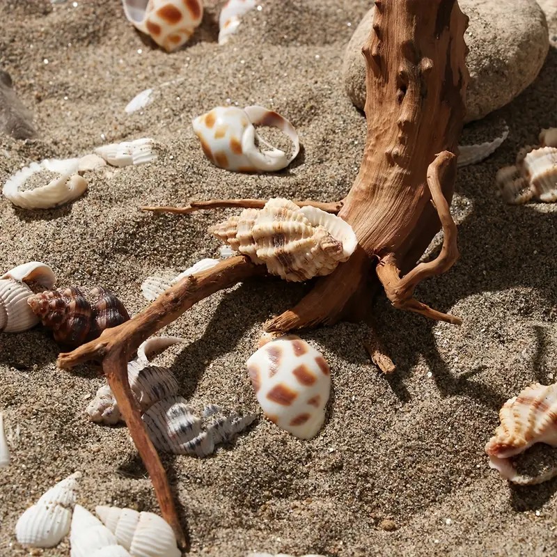 7-26CM 4 Sizes Driftwood Cucko - Aquarium Planted Tree 评论和价格