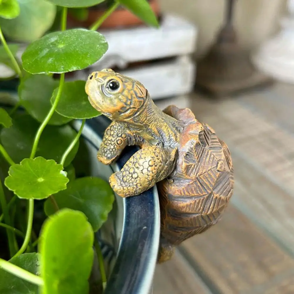 Fishing Turtle Hanging Turtle  - Aquarium For Planted Tank 评论和价格
