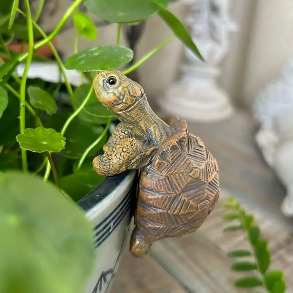 Fishing Turtle Hanging Turtle  - Aquarium For Planted Tank 评论和价格