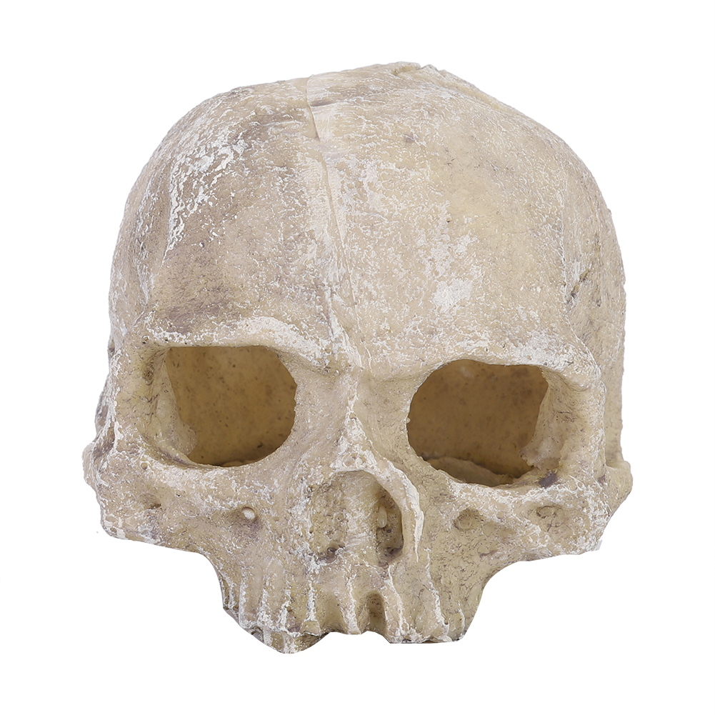 Resin Simulated Head Bone Skul - Aquarium Planting Ideas 评论和价格