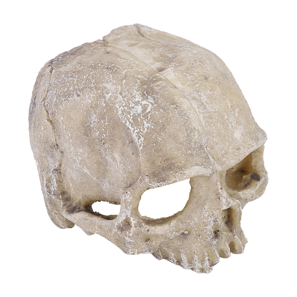 Resin Simulated Head Bone Skul - Aquarium Planting Ideas 评论和价格
