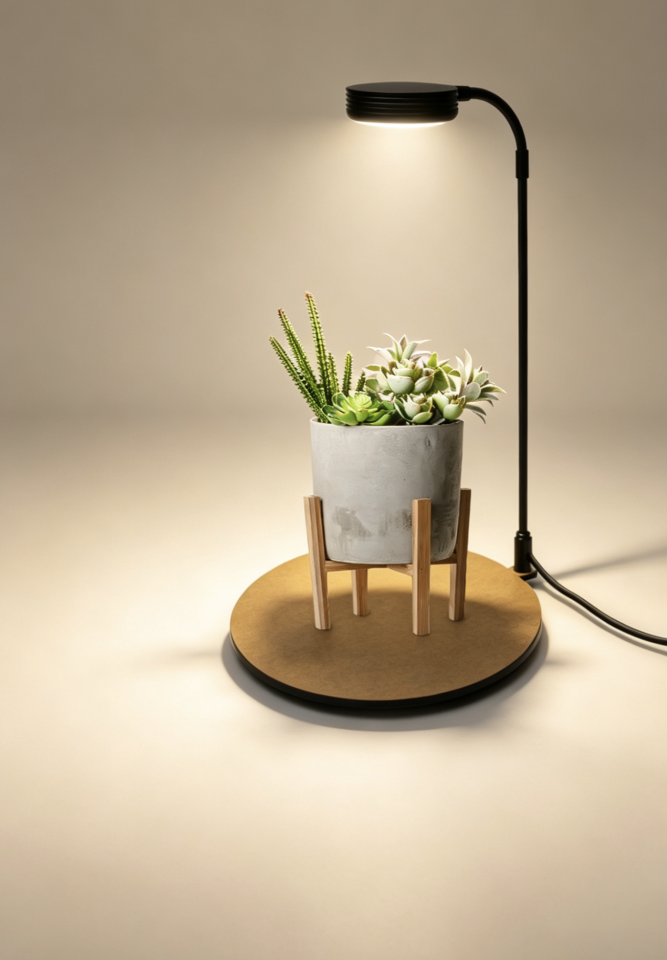 Micro Landscape Plant Lamp LED - Planted Aquarium Pendant Light 评论和价格