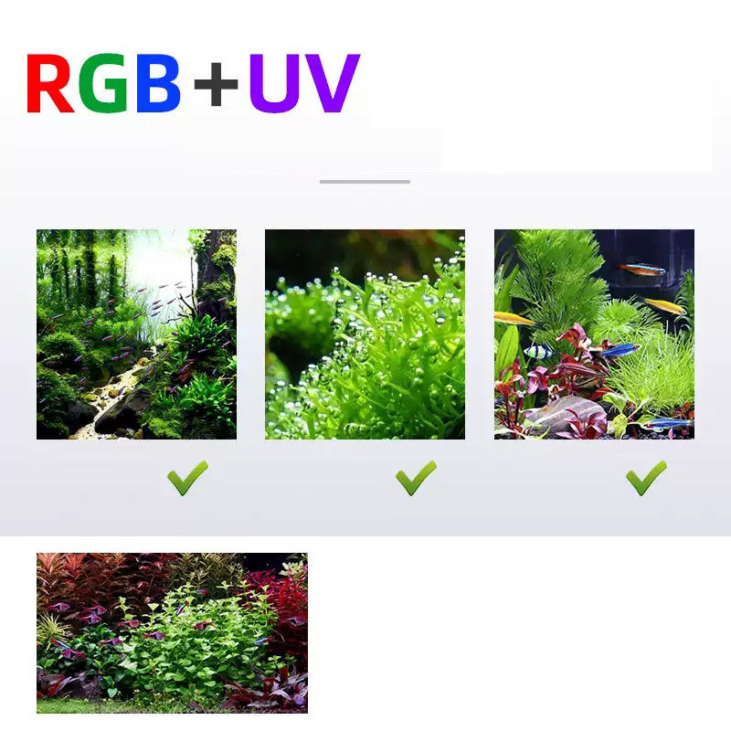 Led Lighting 60cm 80cm 90cm RG - Planted Aquarium Pendant Light 评论和价格