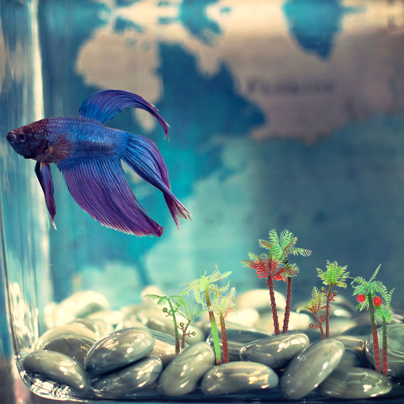100Pcs Aquarium Adornment Arti - Aquarium Planted Tree 评论和价格
