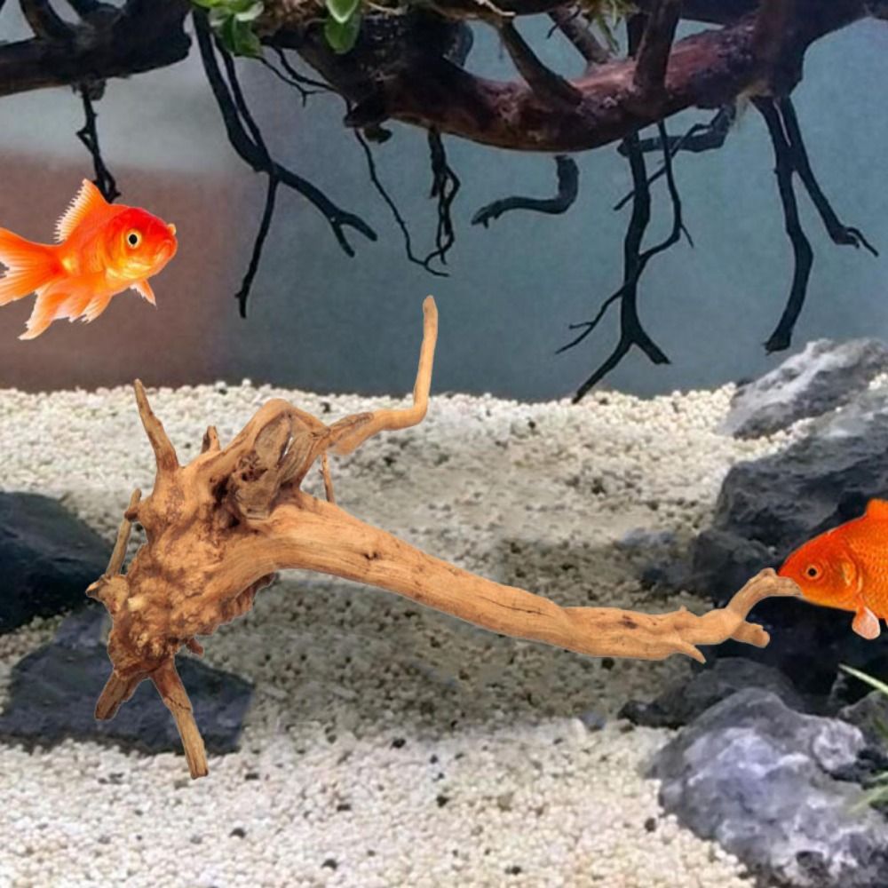 20-25CM Large Aquarium Driftwo - Aquarium Planted Tree 评论和价格