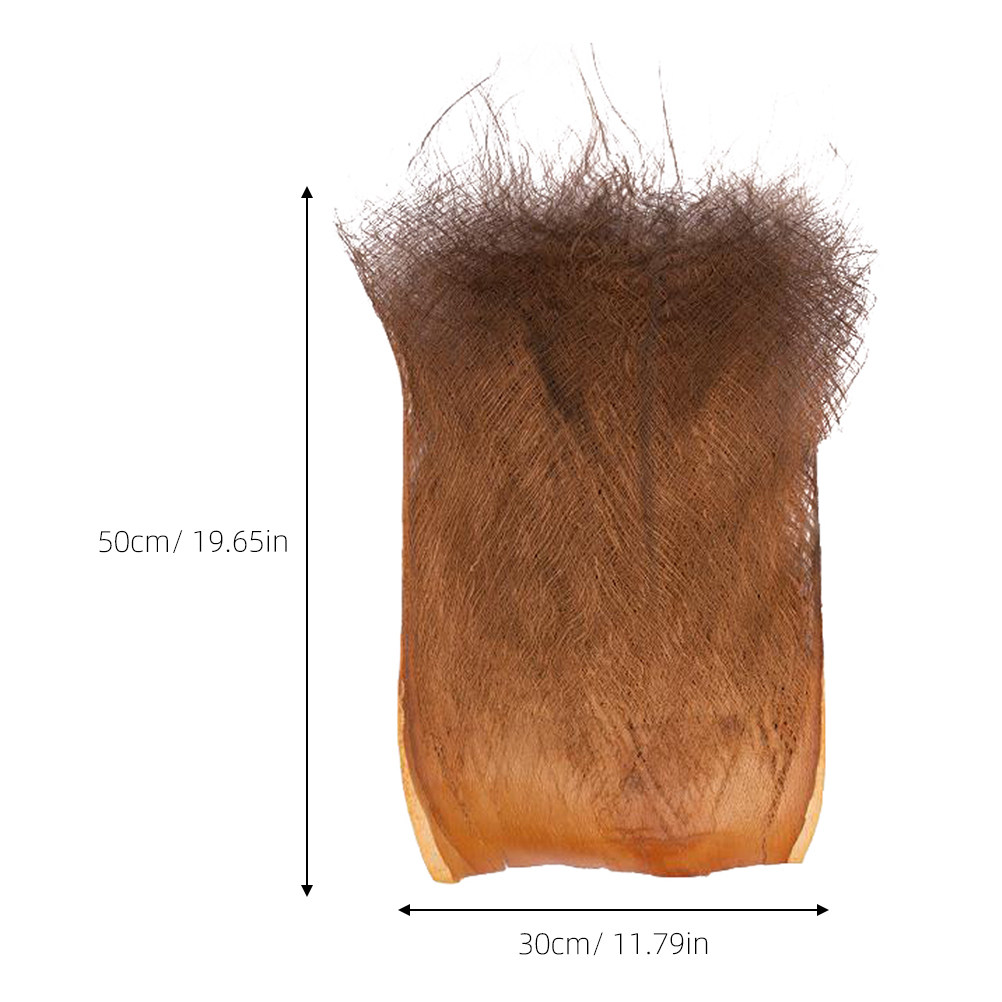 5 Sheets Versatile Palm Tree B - Aquarium Planted Tree 评论和价格