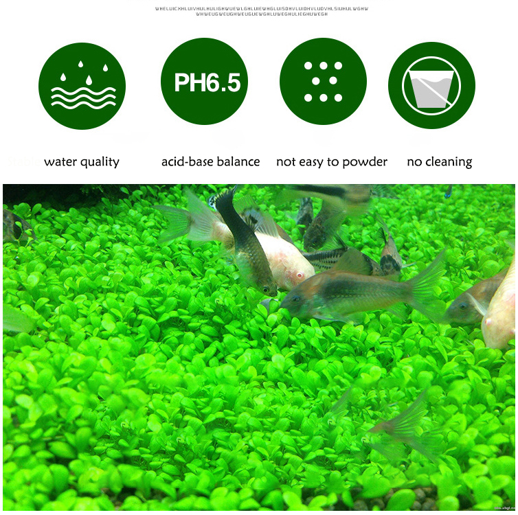 Aquarium Plant Seeds Soil Fish - Aquarium Planting Ideas 评论和价格