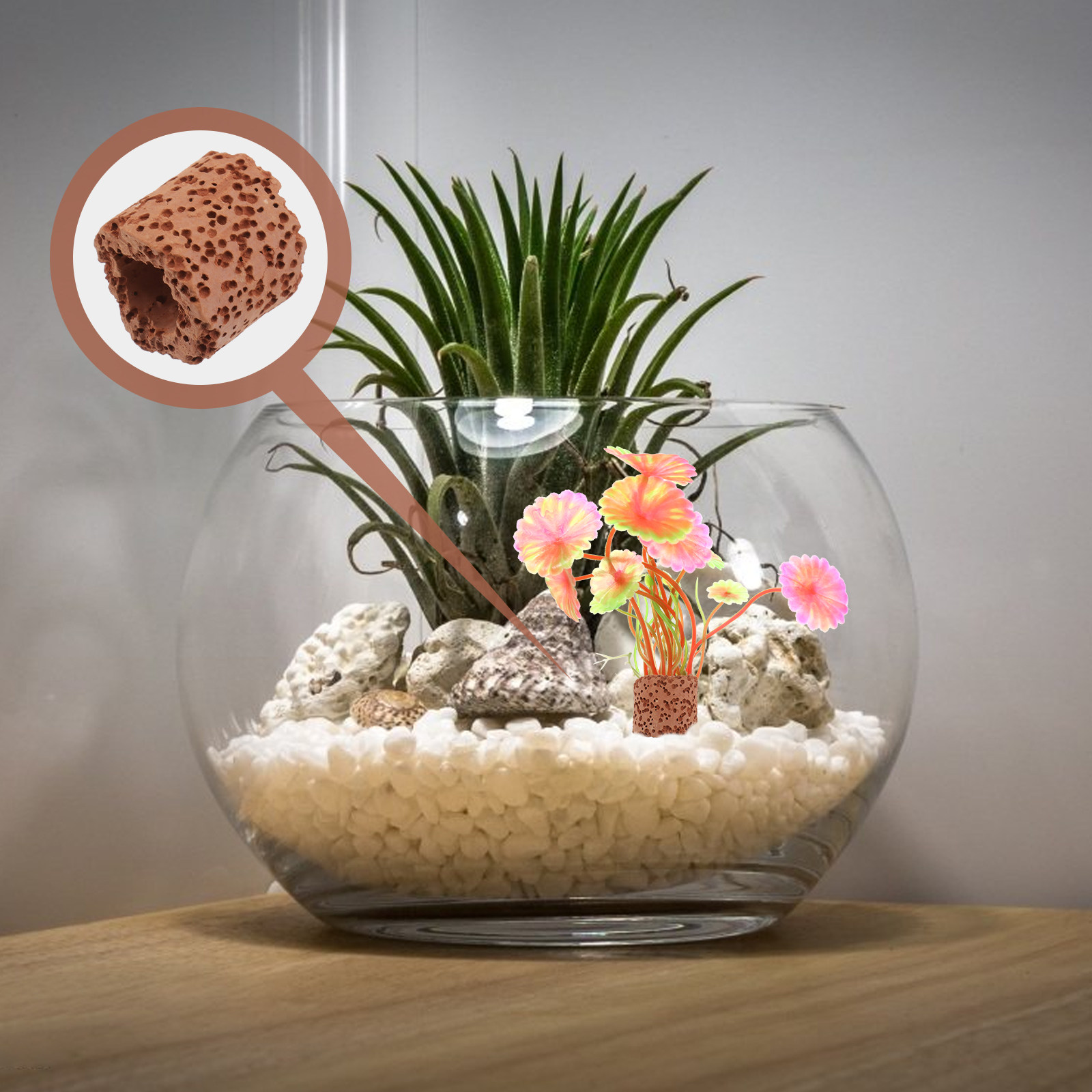10Pcs Water Plant Fixed Ring H - Aquarium For Planted Tank 评论和价格