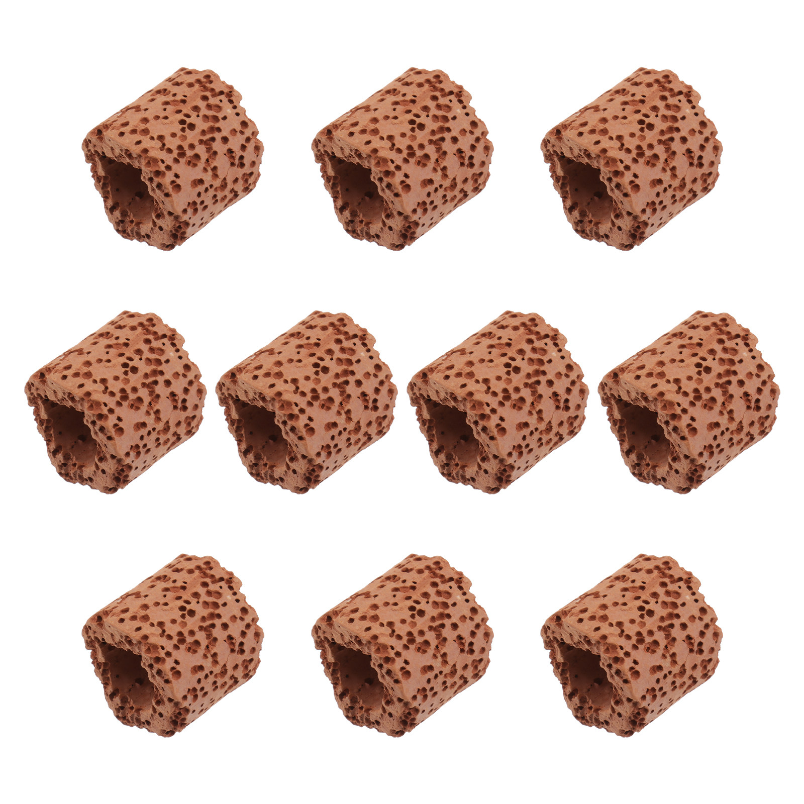 10Pcs Water Plant Fixed Ring H - Aquarium For Planted Tank 评论和价格