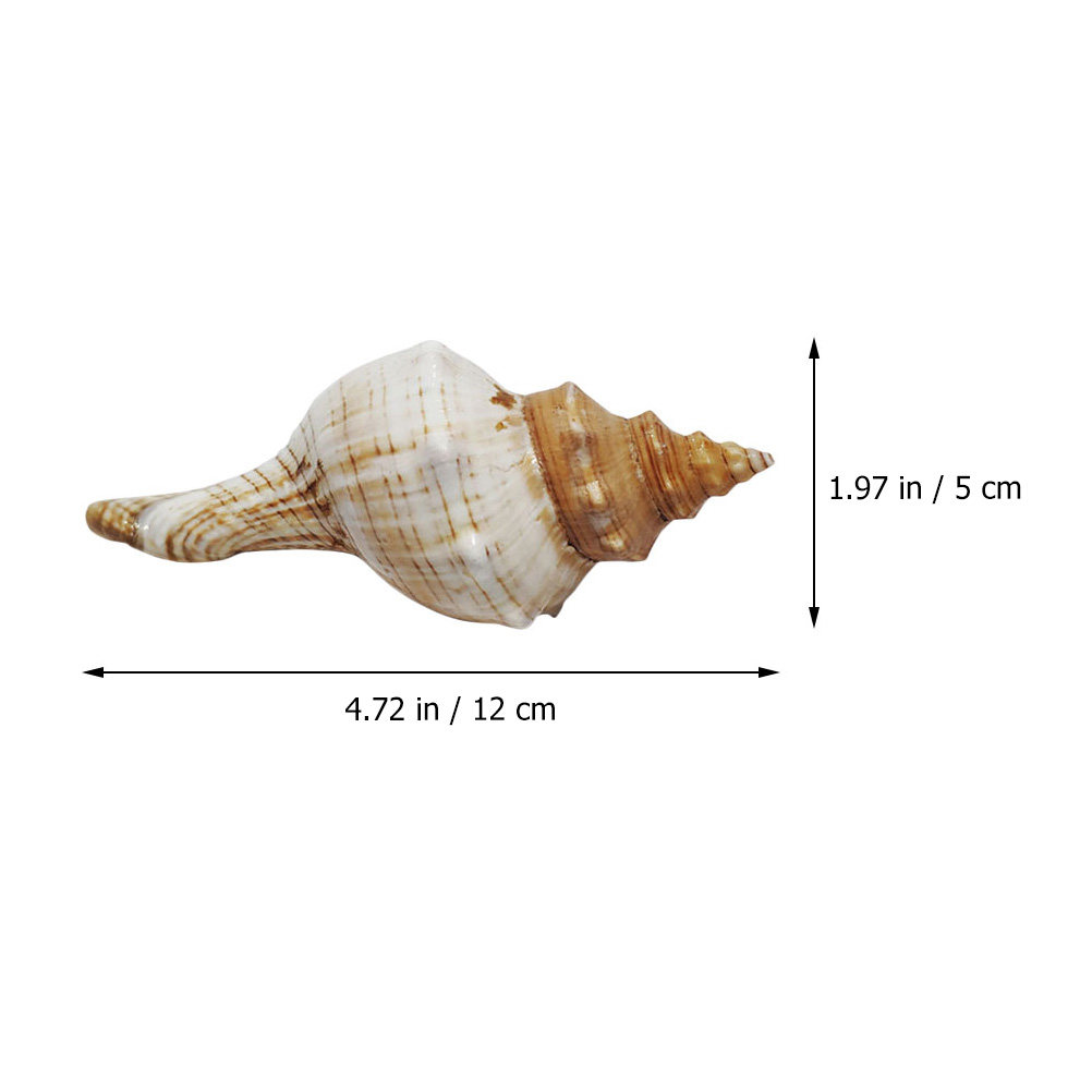 Decorative Conch Shell for Aqu - Aquarium Planting Ideas 评论和价格
