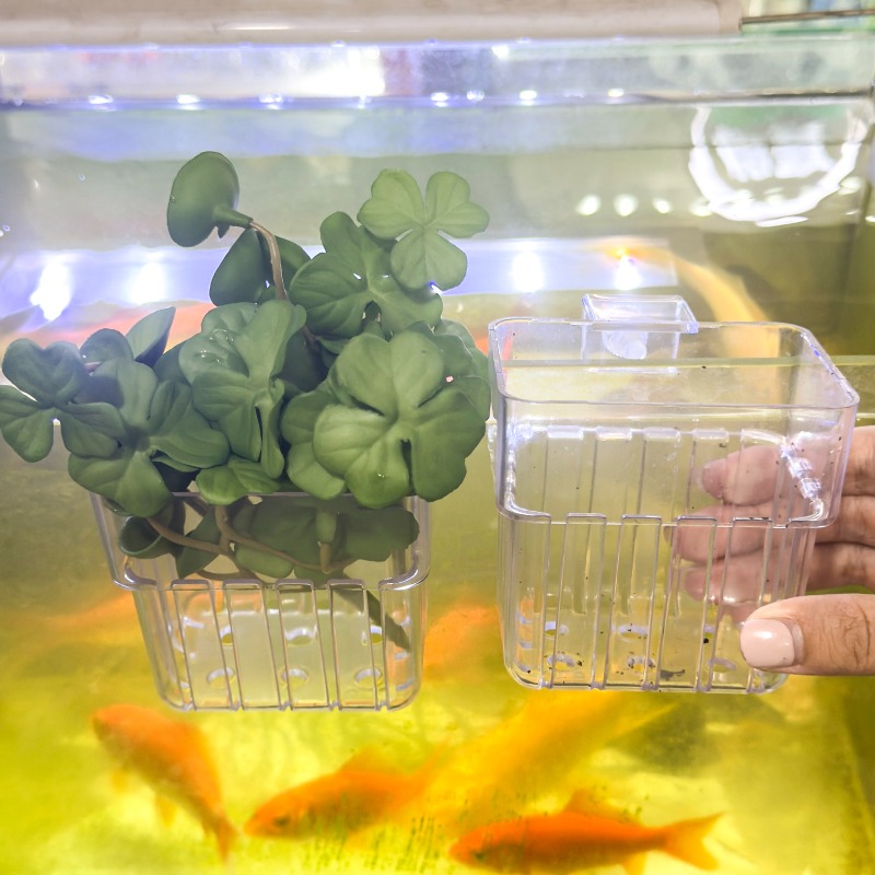 1/5pcs Aquarium Decoration Pla - Aquarium For Planted Tank 评论和价格