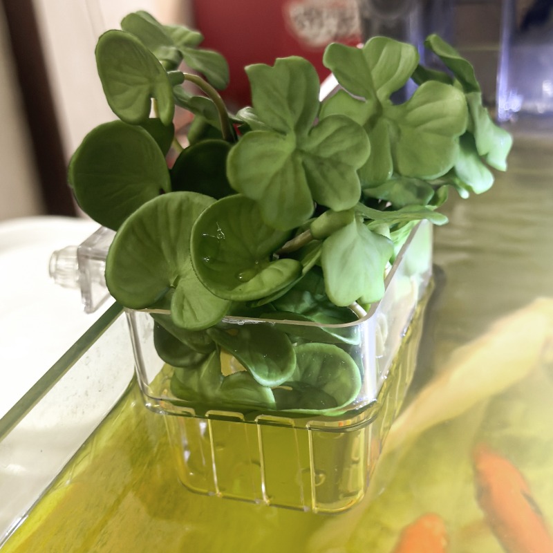 1/5pcs Aquarium Decoration Pla - Aquarium For Planted Tank 评论和价格