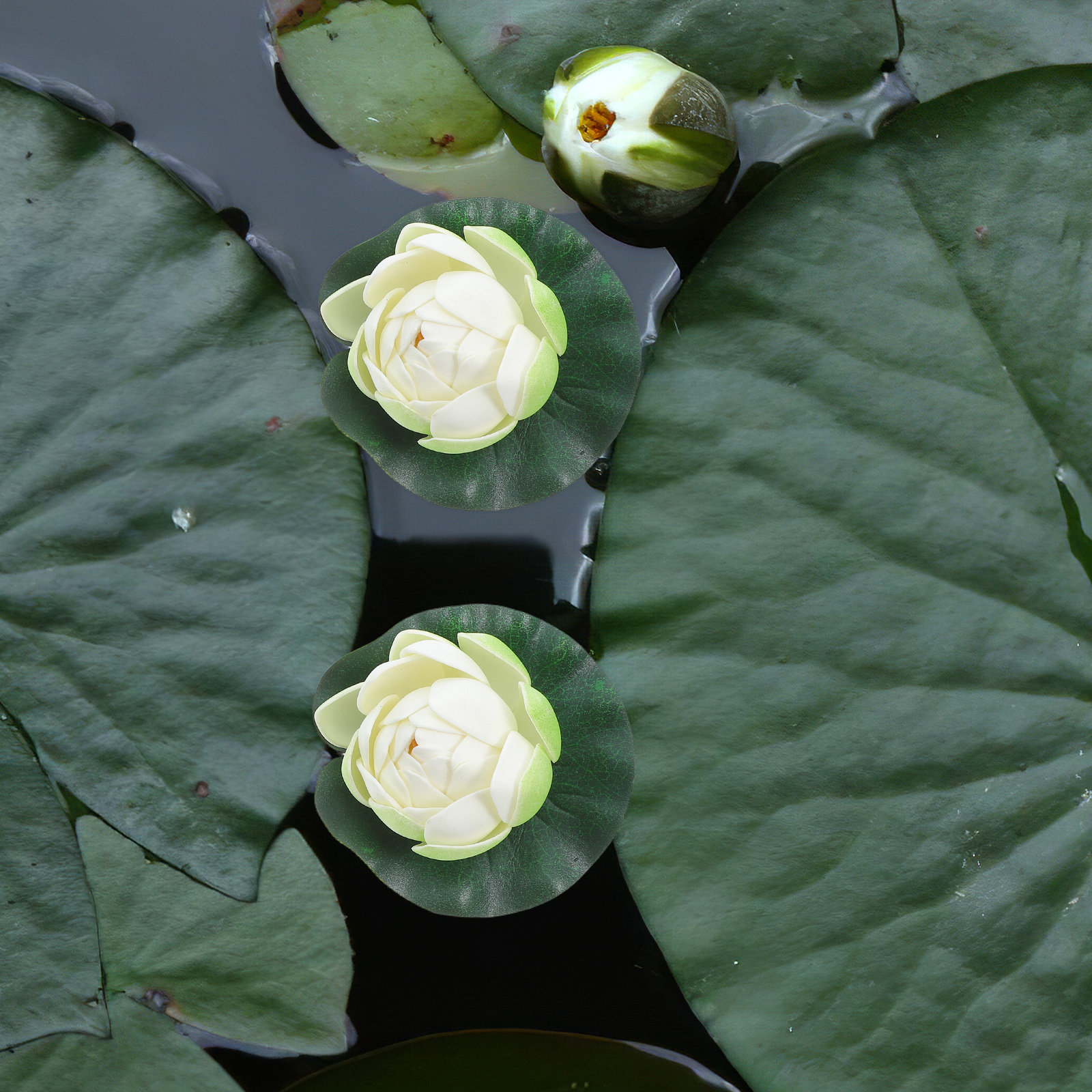 5Pcs Artificial Floating Water - Aquarium For Planted Tank 评论和价格