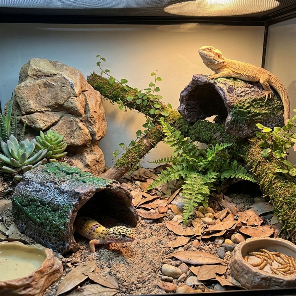 Simulation Reptile Hideout Hol - Aquarium Planted Tree 评论和价格