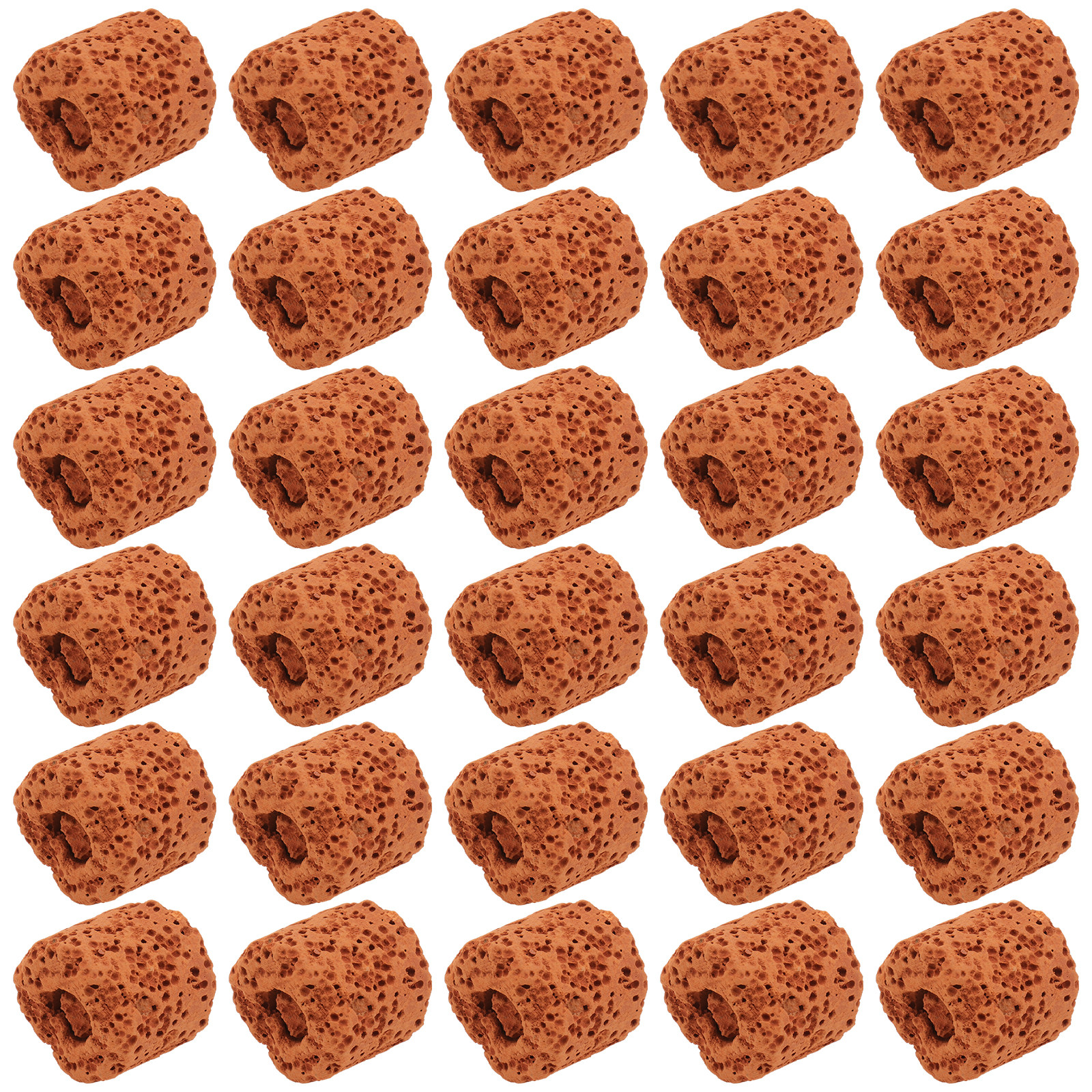 50Pcs Water Plant Fixed Ring A - Planted Aquarium Water Temperature 评论和价格