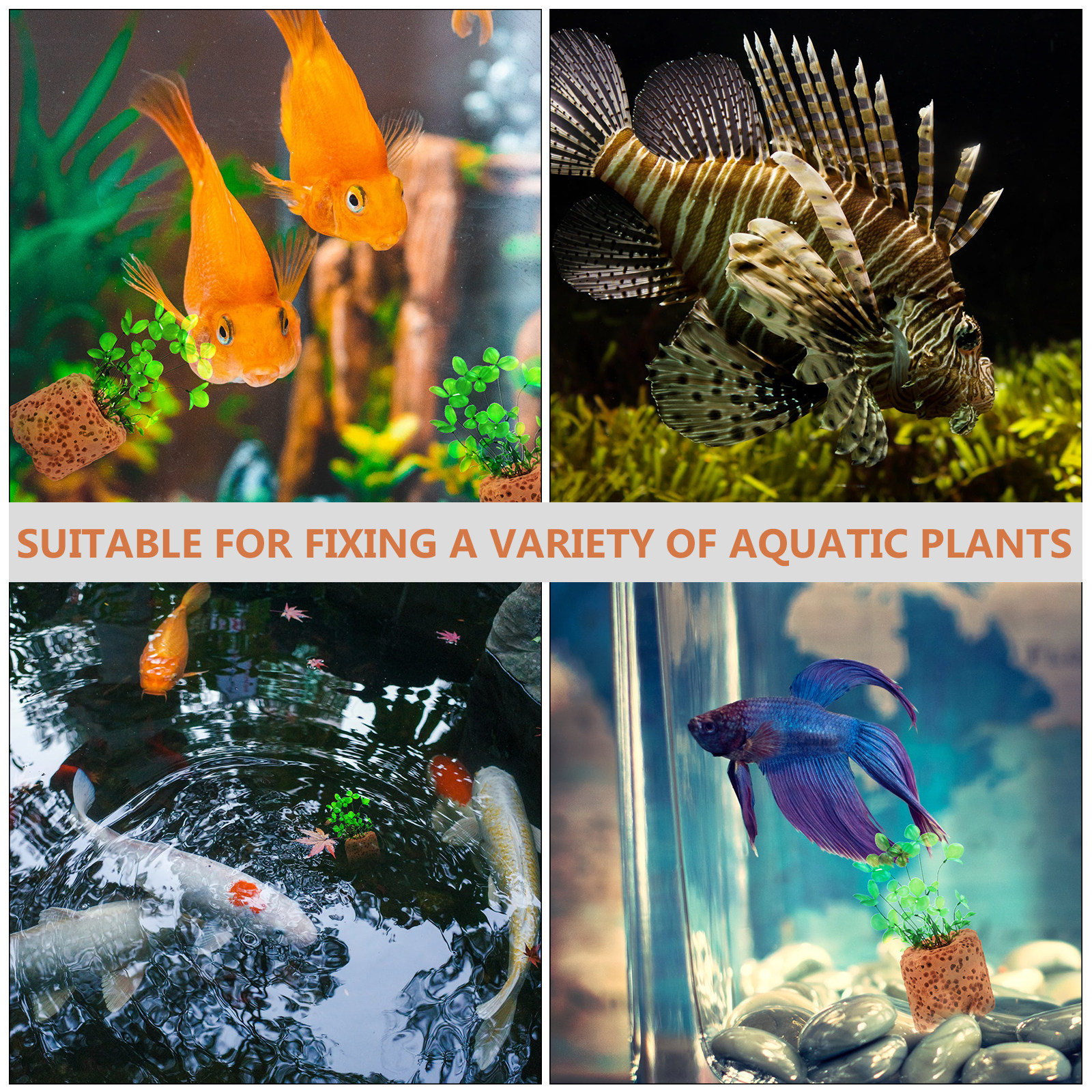 50Pcs Water Plant Fixed Ring A - Planted Aquarium Water Temperature 评论和价格